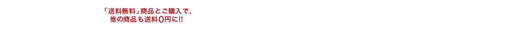 送料無料アイテム